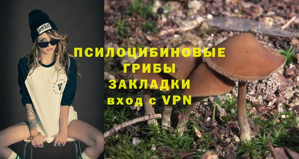 дживик Бугульма